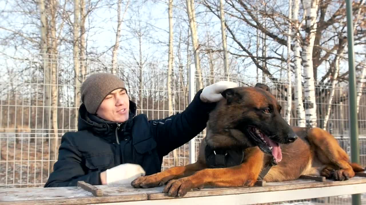 Stock Video Man Petting A Big Dog In The Par Animated Wallpaper