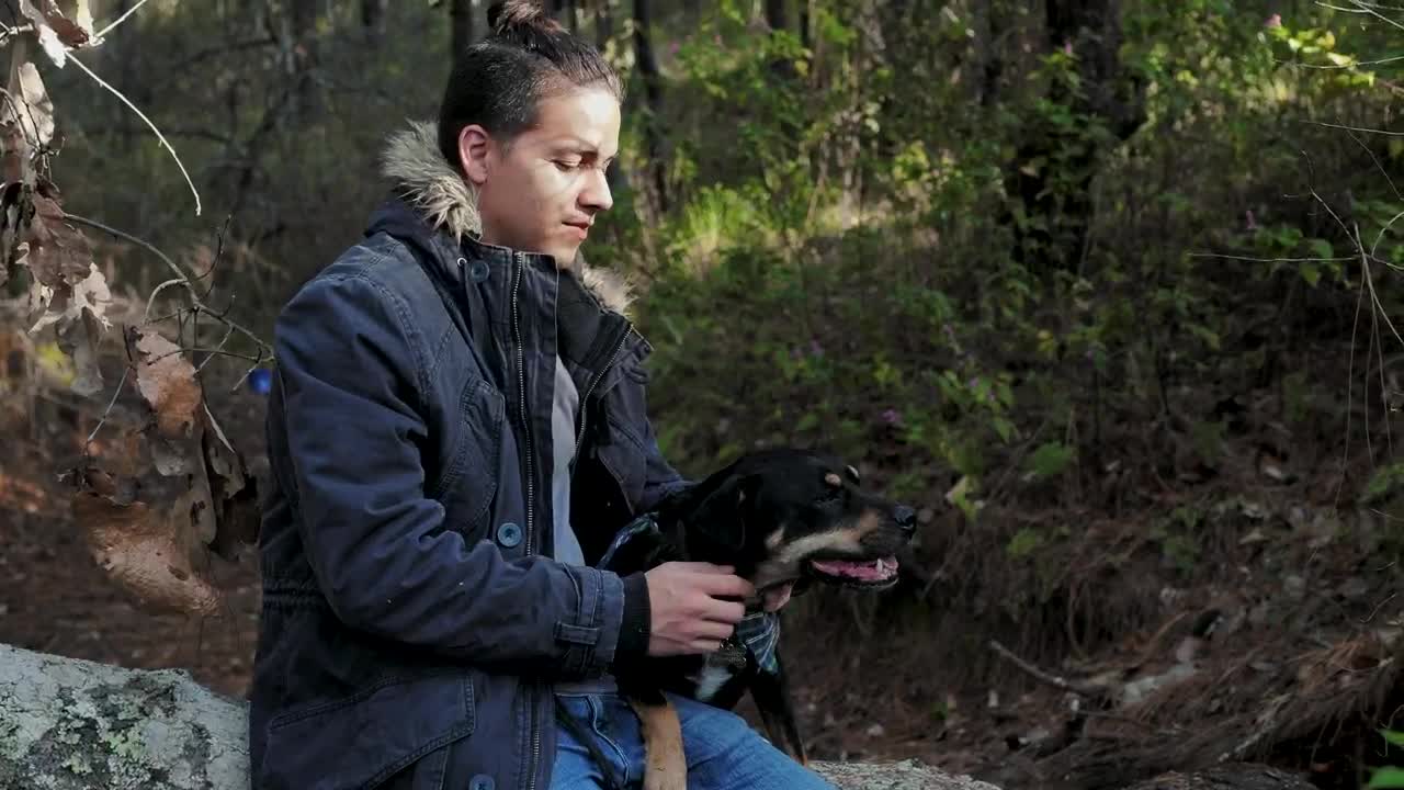 Stock Video Man Pets His Dog In The Fores Animated Wallpaper