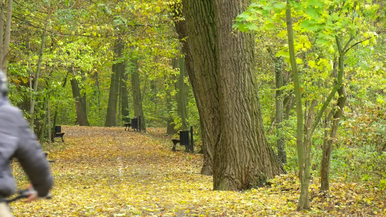 Stock Video Man Pedaling Through The Park Pat Animated Wallpaper