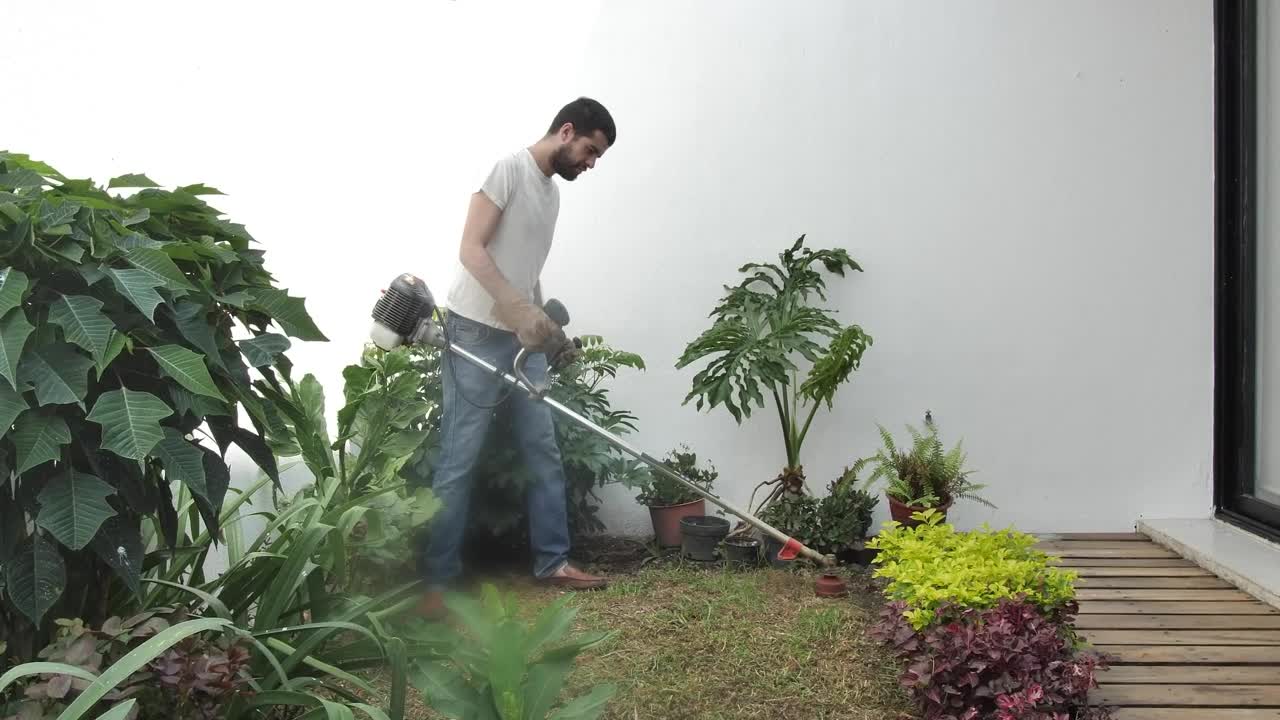 Stock Video Man Mowing The Lawn With A Mowe Animated Wallpaper