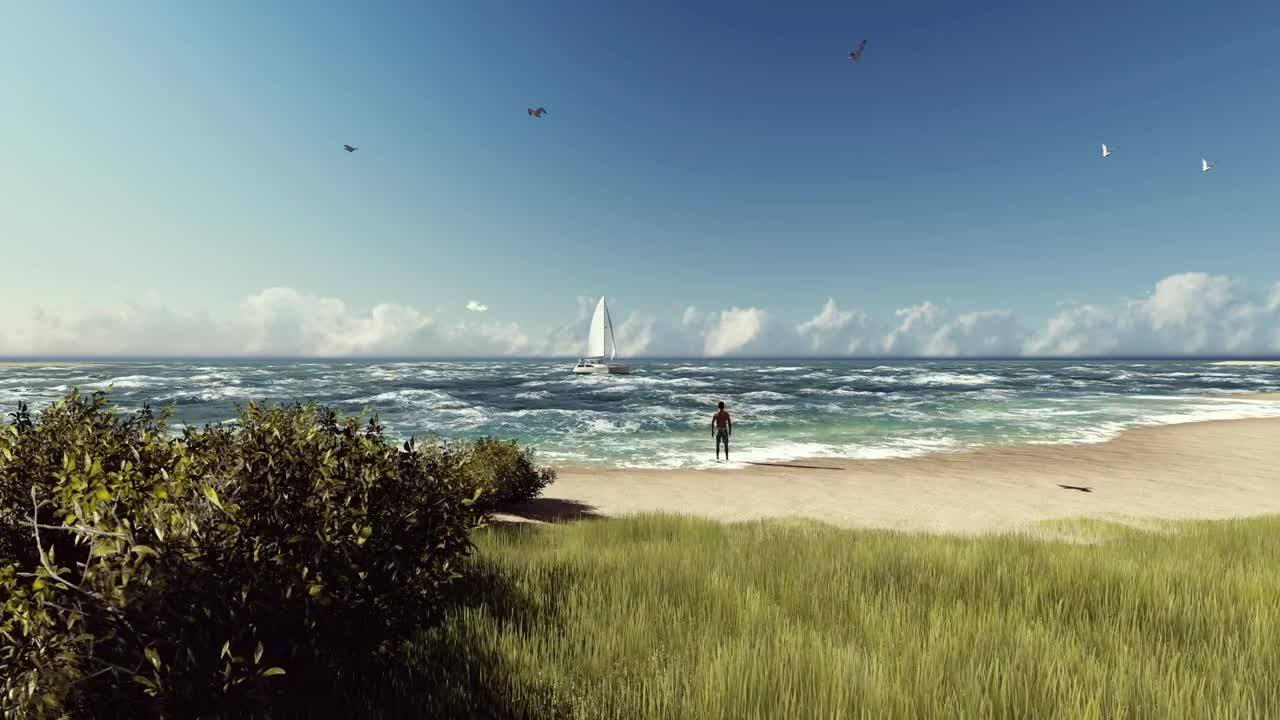 Stock Video Man Looking At A Sailboat On The Beac Animated Wallpaper