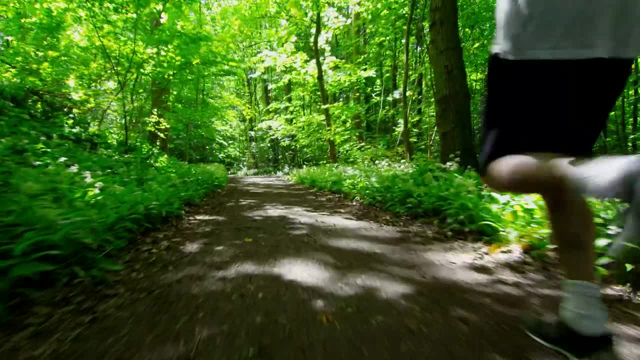 Stock Video Man Jogging Through Woodland Tracking Sho Animated Wallpaper