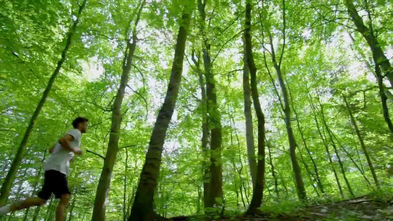 Stock Video Man Jogging Through Woodlan Animated Wallpaper
