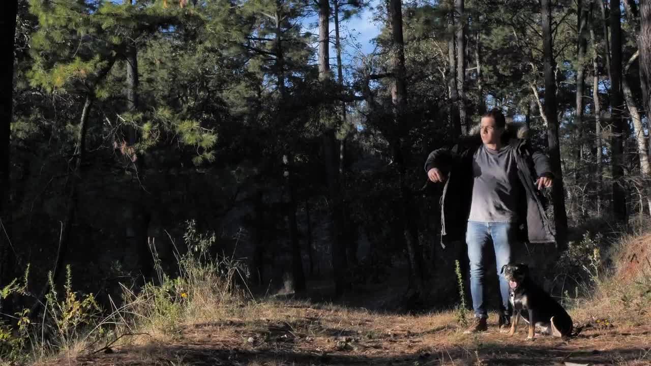 Stock Video Man In The Woods With His Do Animated Wallpaper