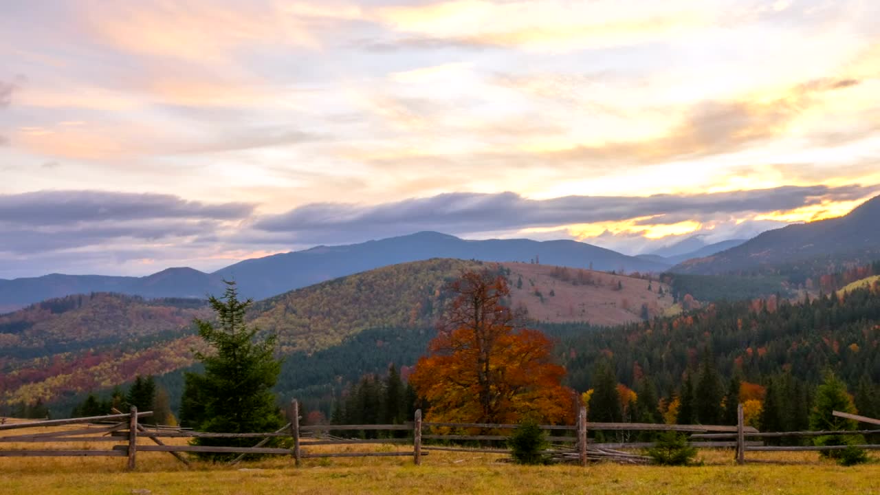 Stock Video Mountain And Forest Illuminates With Sunset Live Wallpaper