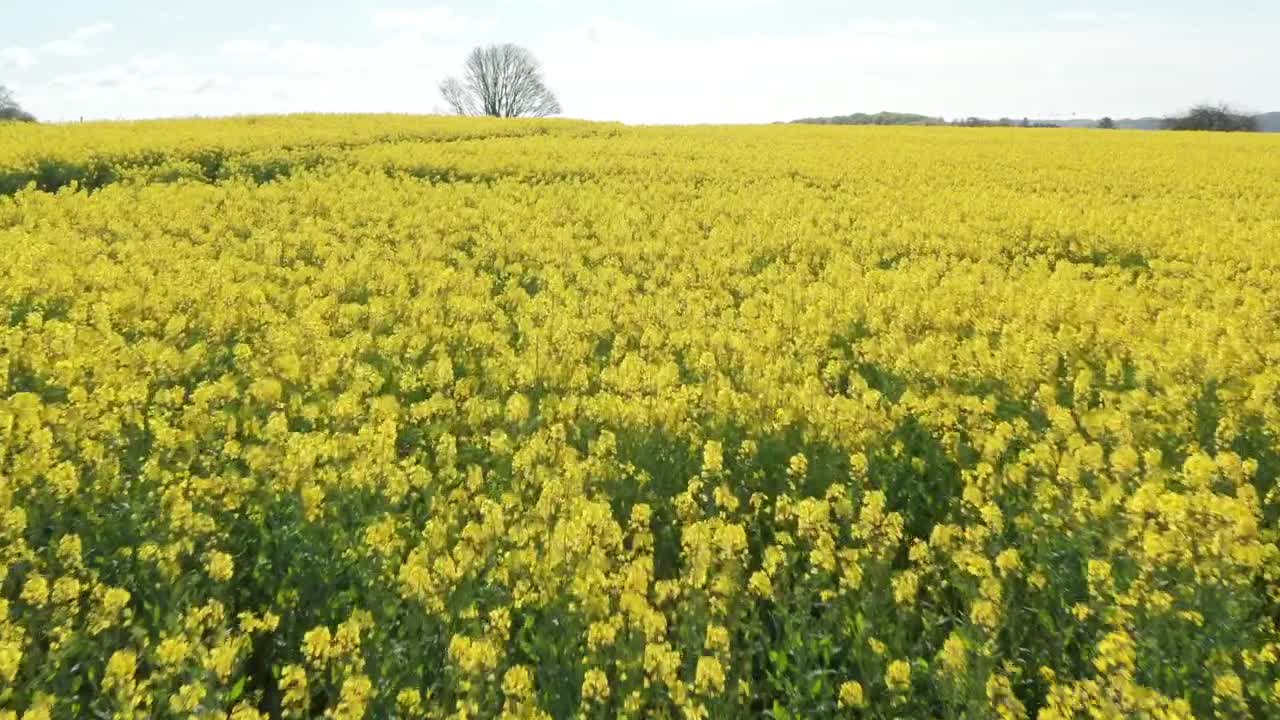 Stock Video Mountain Farmland In Europe Live Wallpaper