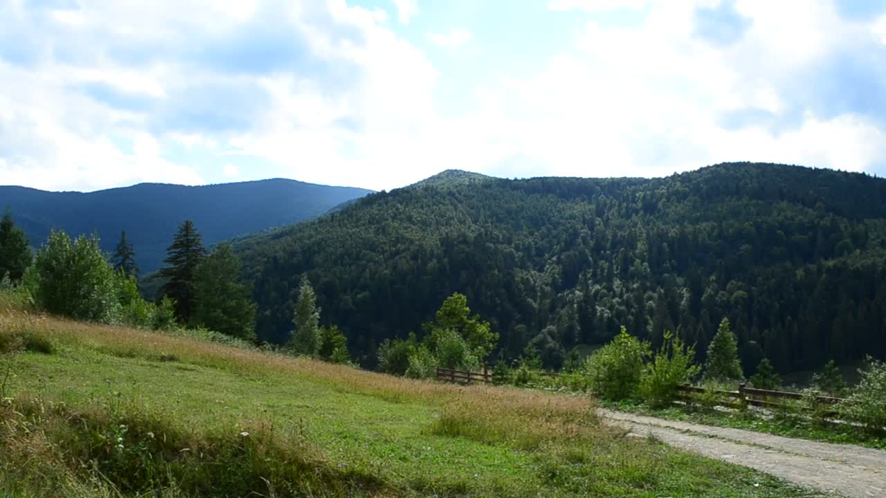 Stock Video Mountain Forest In The Countryside Live Wallpaper
