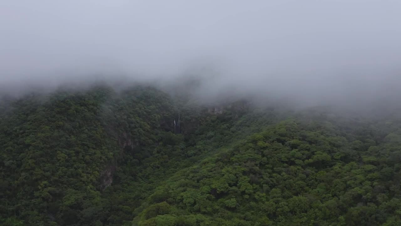 Stock Video Mountain Forest With Mist Live Wallpaper