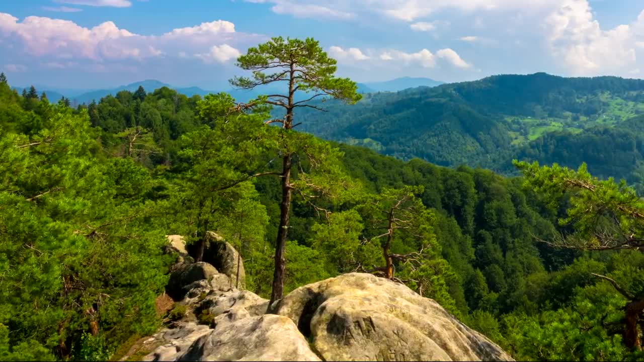 Stock Video Mountain Landscape With A Big Stone Live Wallpaper