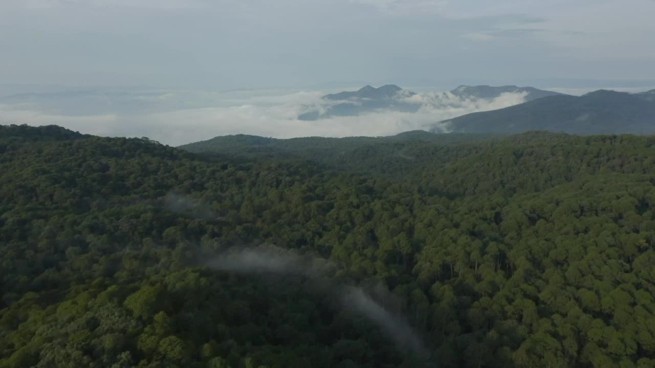 Stock Video Mountain Range Covered By Trees Seen From Above Live Wallpaper