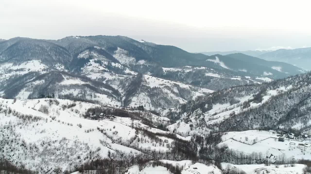 Stock Video Mountain Relief Covered With Snow And Pine Trees Live Wallpaper