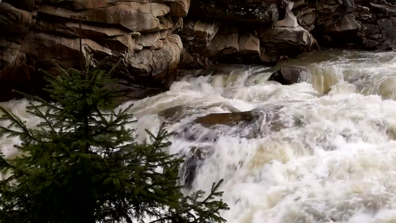 Stock Video Mountain Stream With Waterfall Live Wallpaper