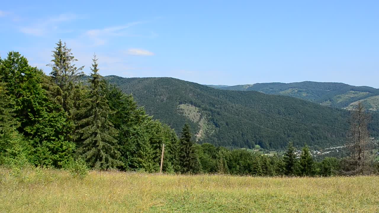 Stock Video Mountain Trees Across A Grass Field Live Wallpaper