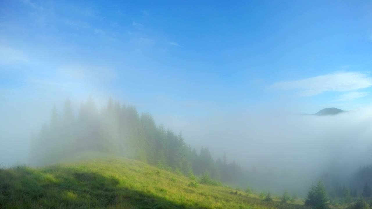 Stock Video Mountains And Forest With Morning Mist Live Wallpaper