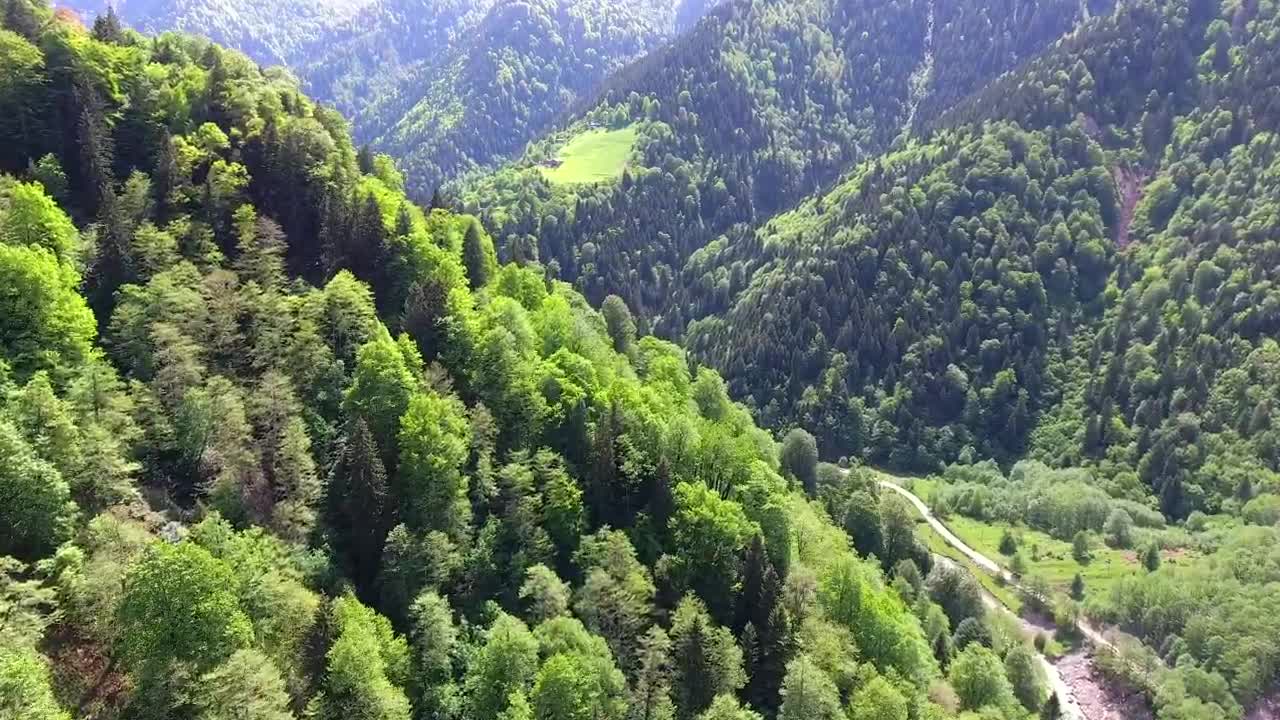 Stock Video Mountains And Green Forest Live Wallpaper