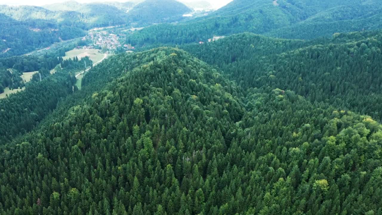 Stock Video Mountains Covered In Thick Forests Live Wallpaper