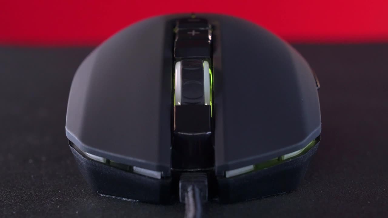 Stock Video Mouse Portrait With Changing Light Live Wallpaper