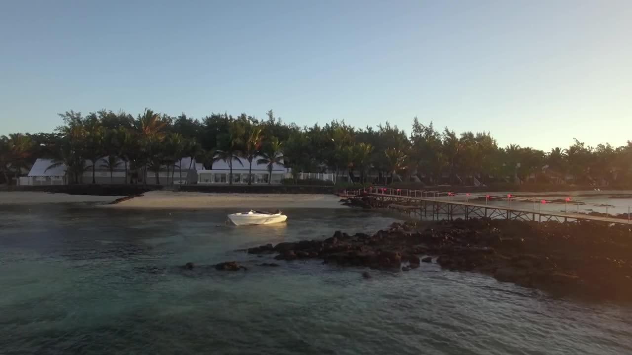 Stock Video Mouses Along Mauritius Island Live Wallpaper