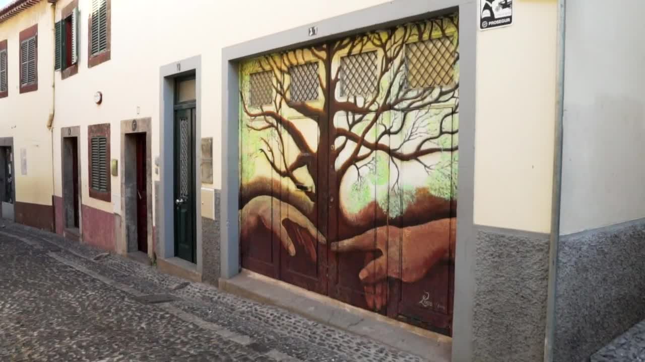 Stock Video Mural Art On The Facade Of A House Live Wallpaper