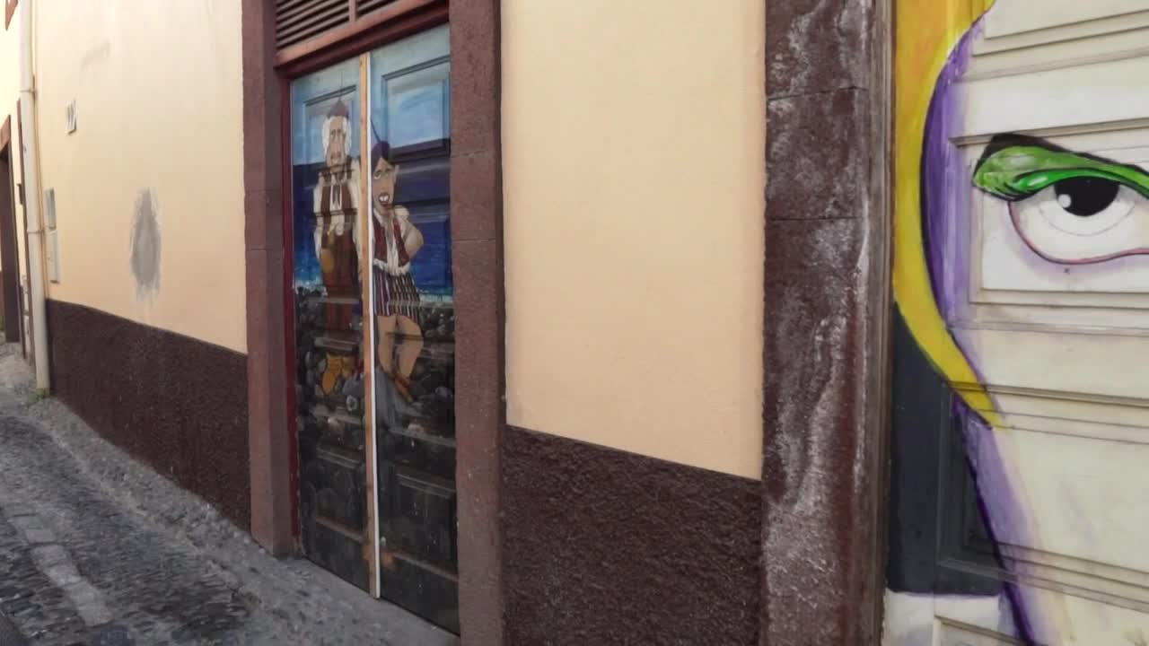 Stock Video Mural Of A Face On A Gate Live Wallpaper