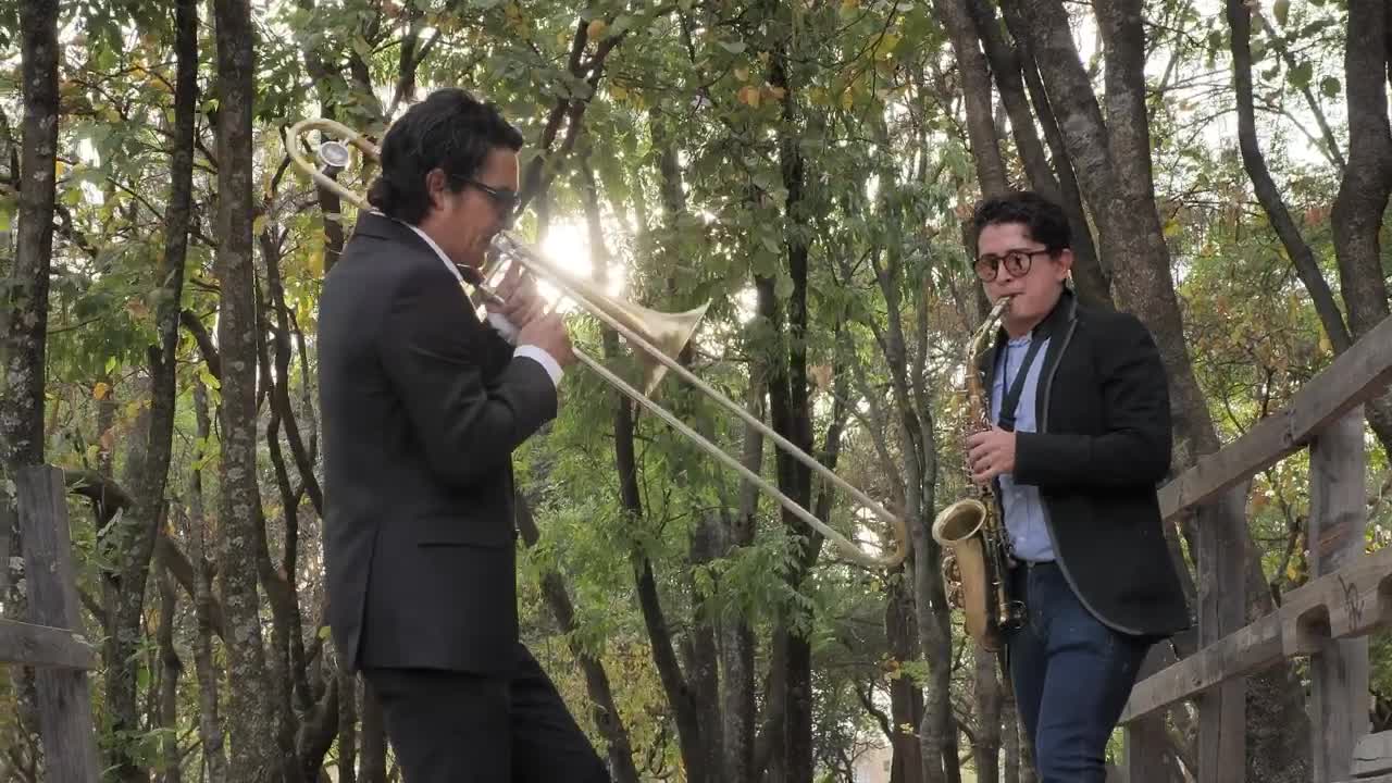 Stock Video Musicians Playing Wind Instruments In The Forest Live Wallpaper