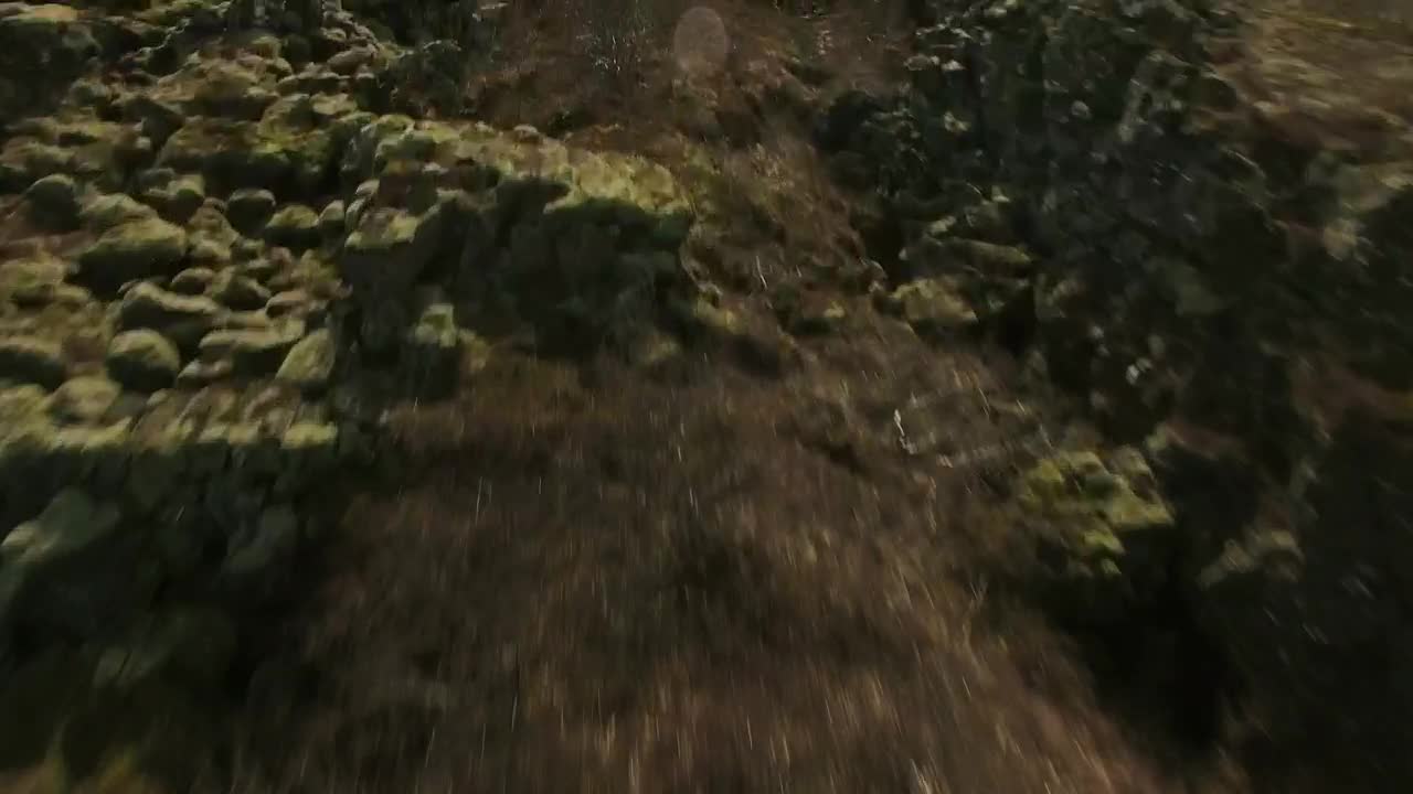 Stock Video Natural Landscape Covered In Moss Live Wallpaper