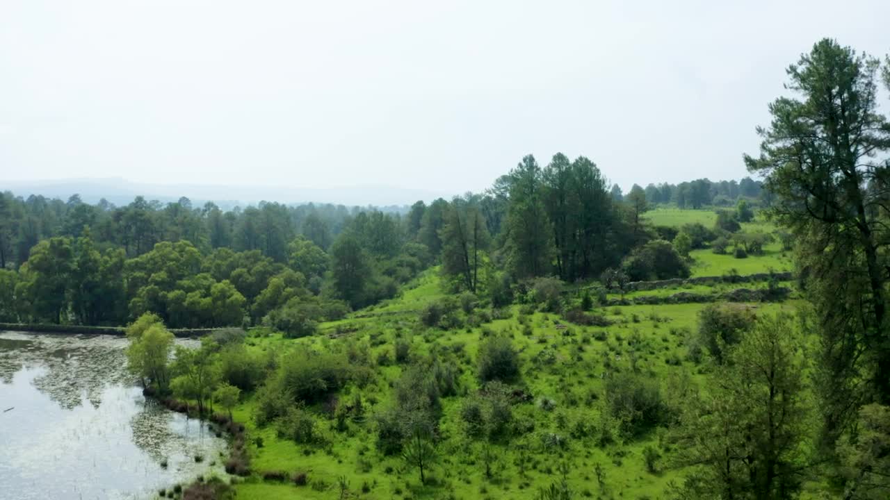 Stock Video Natural Landscape In An Aerial View Around A Forest Live Wallpaper