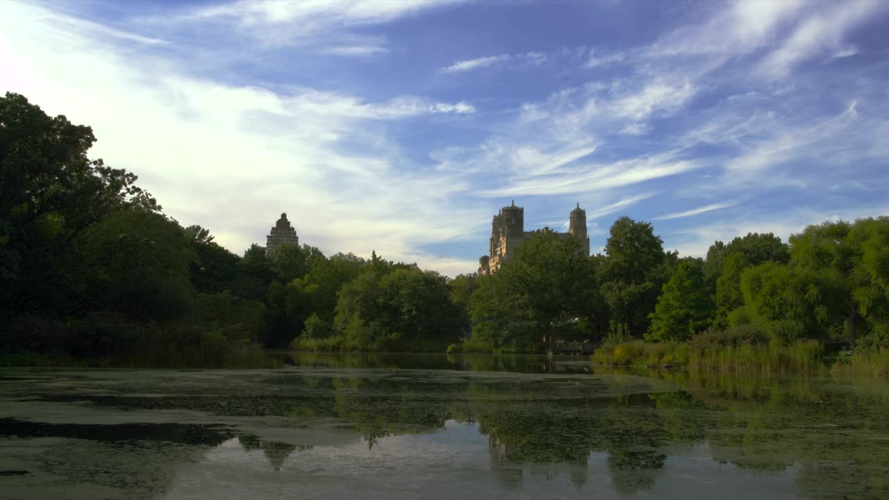 Stock Video Natural Pond On A Clear Day Live Wallpaper