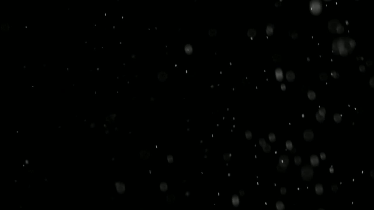 Stock Video Natural Snow Falling Live Wallpaper