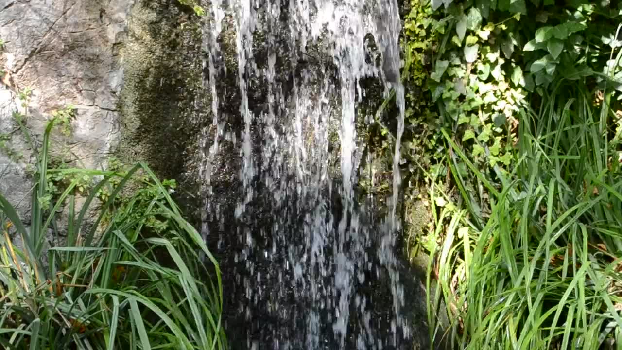 Stock Video Natural Spring Waterfall Live Wallpaper