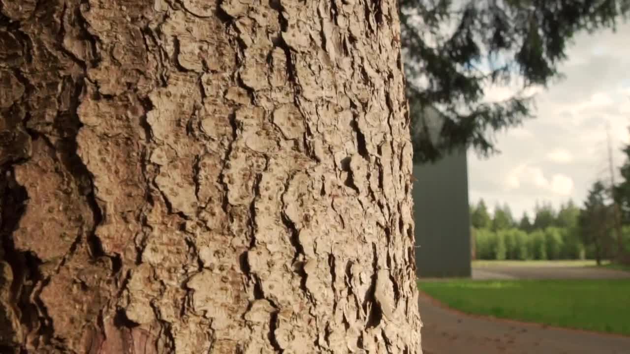 Stock Video Nature Property With A Large Cellar LargeLive Wallpaper