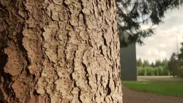 Stock Video Nature Property With A Large Cellar Live Wallpaper