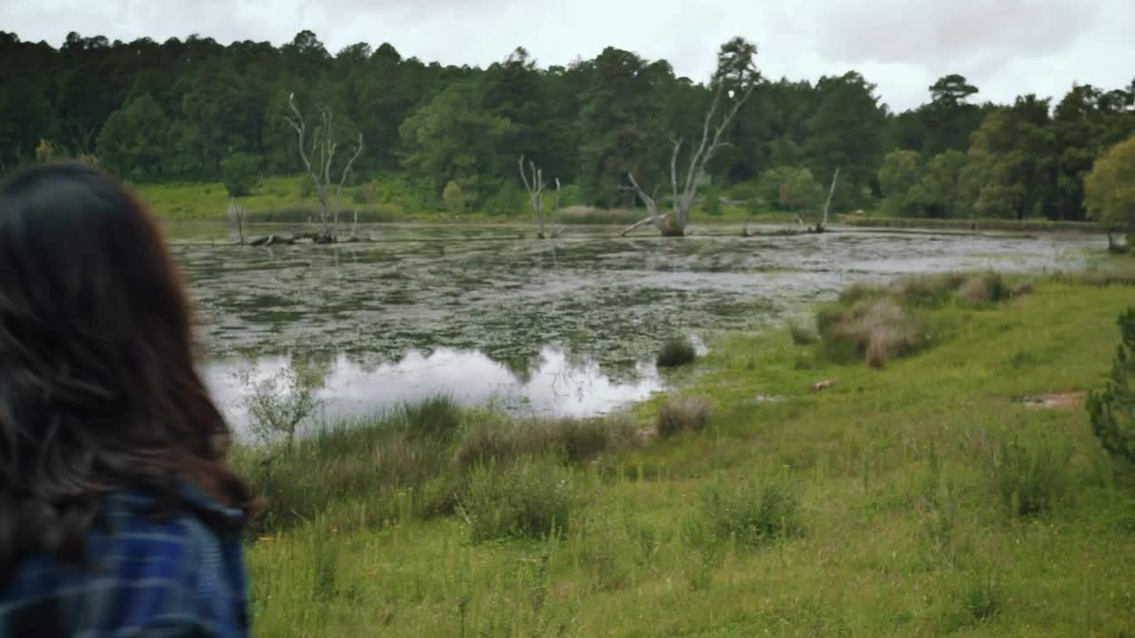 Stock Video Nature Walk As A Couple Live Wallpaper