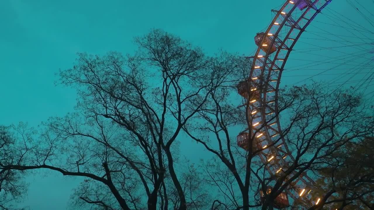 Stock Video Neon Lights On A Park Ride Live Wallpaper