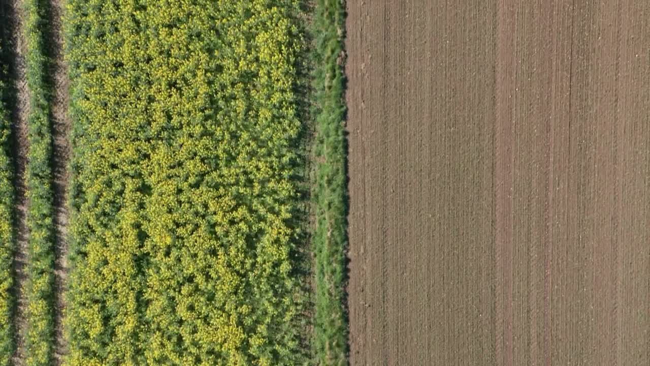 Stock Video Newly Ploughed Field Live Wallpaper