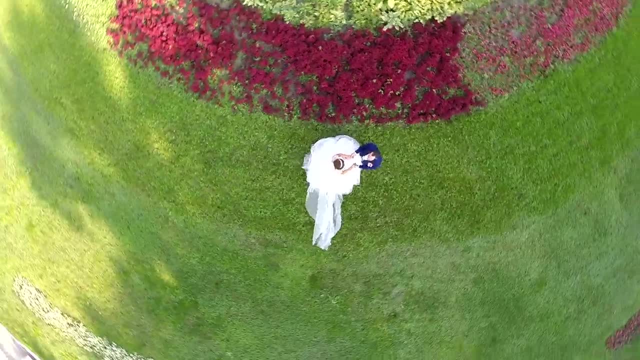 Stock Video Newlyweds Standing In A Garden Live Wallpaper