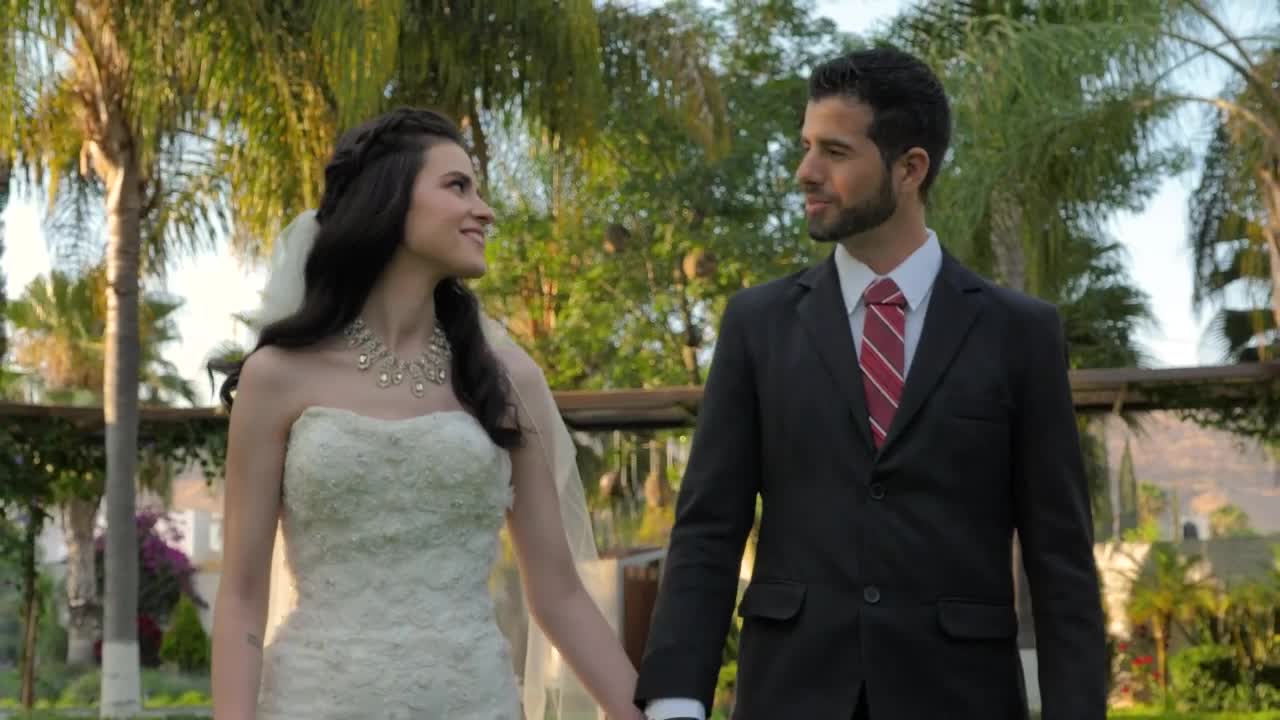 Stock Video Newlyweds Walking Through A Garden Live Wallpaper