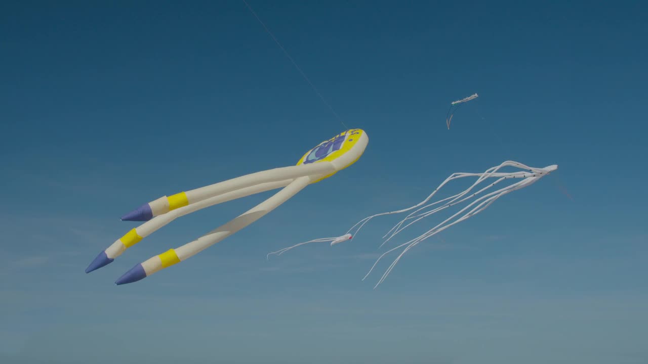 Stock Video Octopus Kites Against A Blue Sky Live Wallpaper