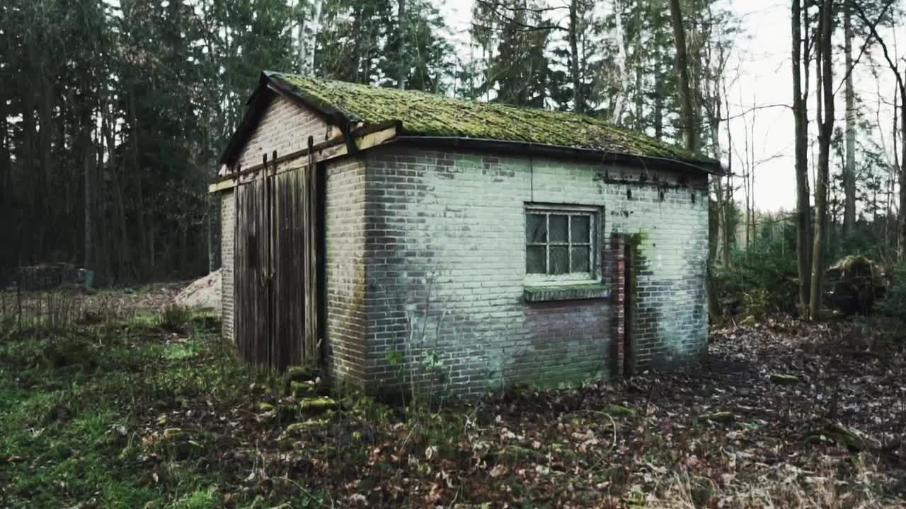 Stock Video Old Brick Shed In A Forest Live Wallpaper