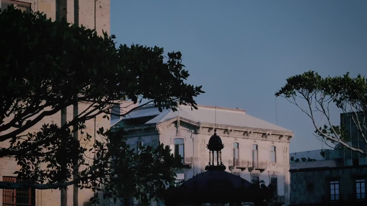 Stock Video Old Building With Trees At Dusk Live Wallpaper