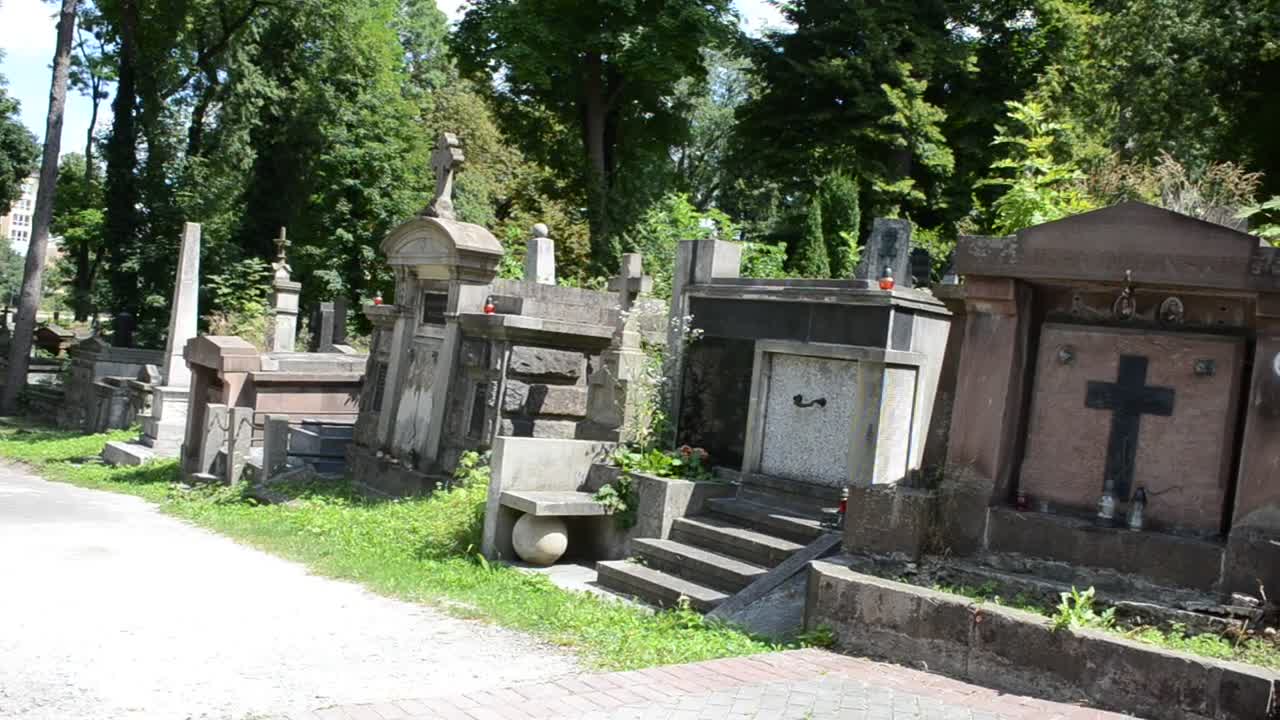 Stock Video Old Cemetery In A Forest Live Wallpaper