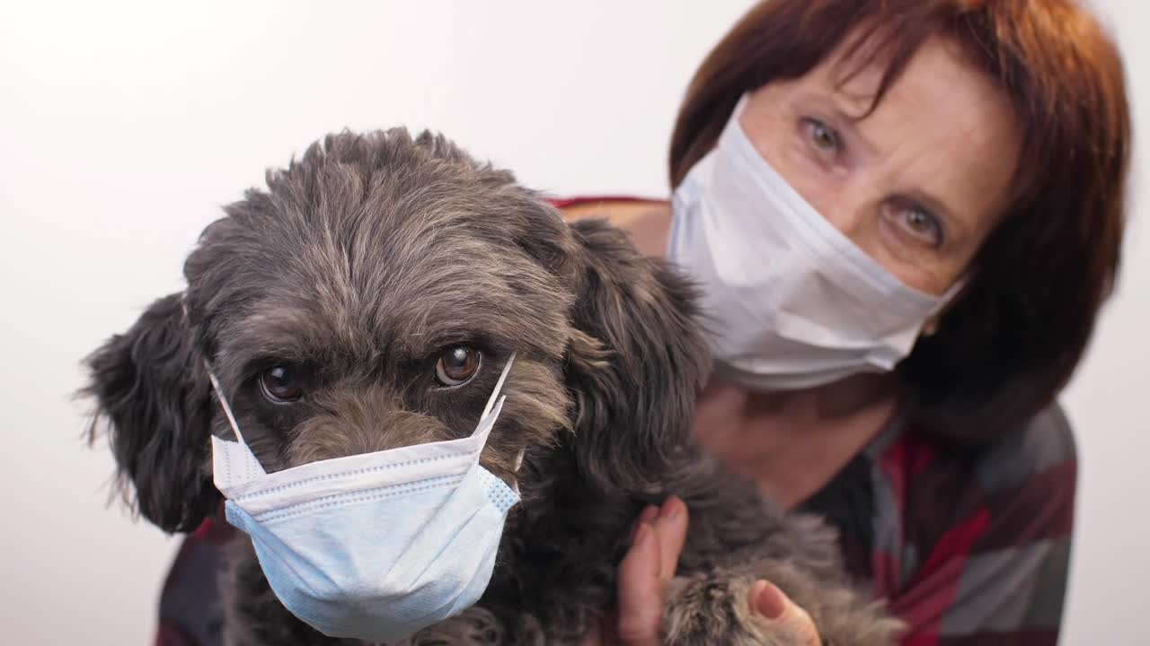 Stock Video Old Woman And Her Pet Wearing Mask Live Wallpaper