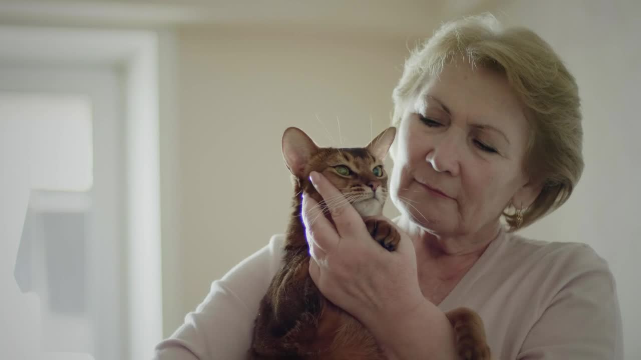 Stock Video Old Woman Hugging Her Cat Live Wallpaper