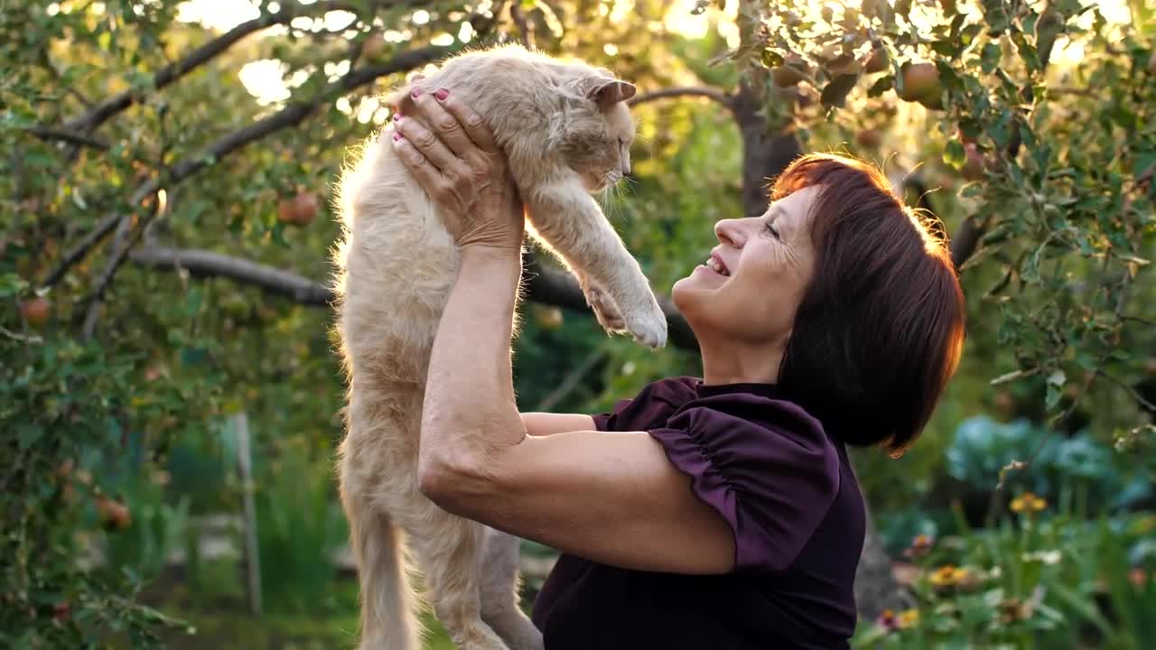 Stock Video Old Woman Loving Her Cat Live Wallpaper