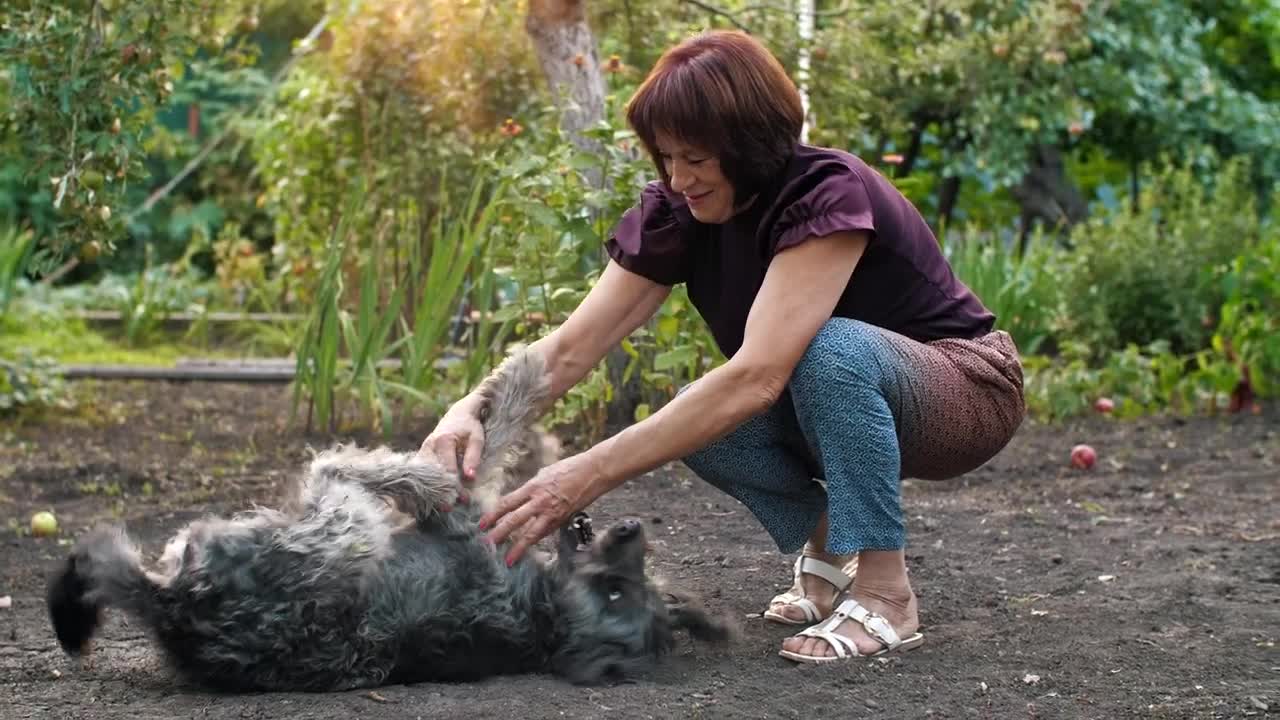 Stock Video Old Woman Playing With Her Dog On The Floor Live Wallpaper