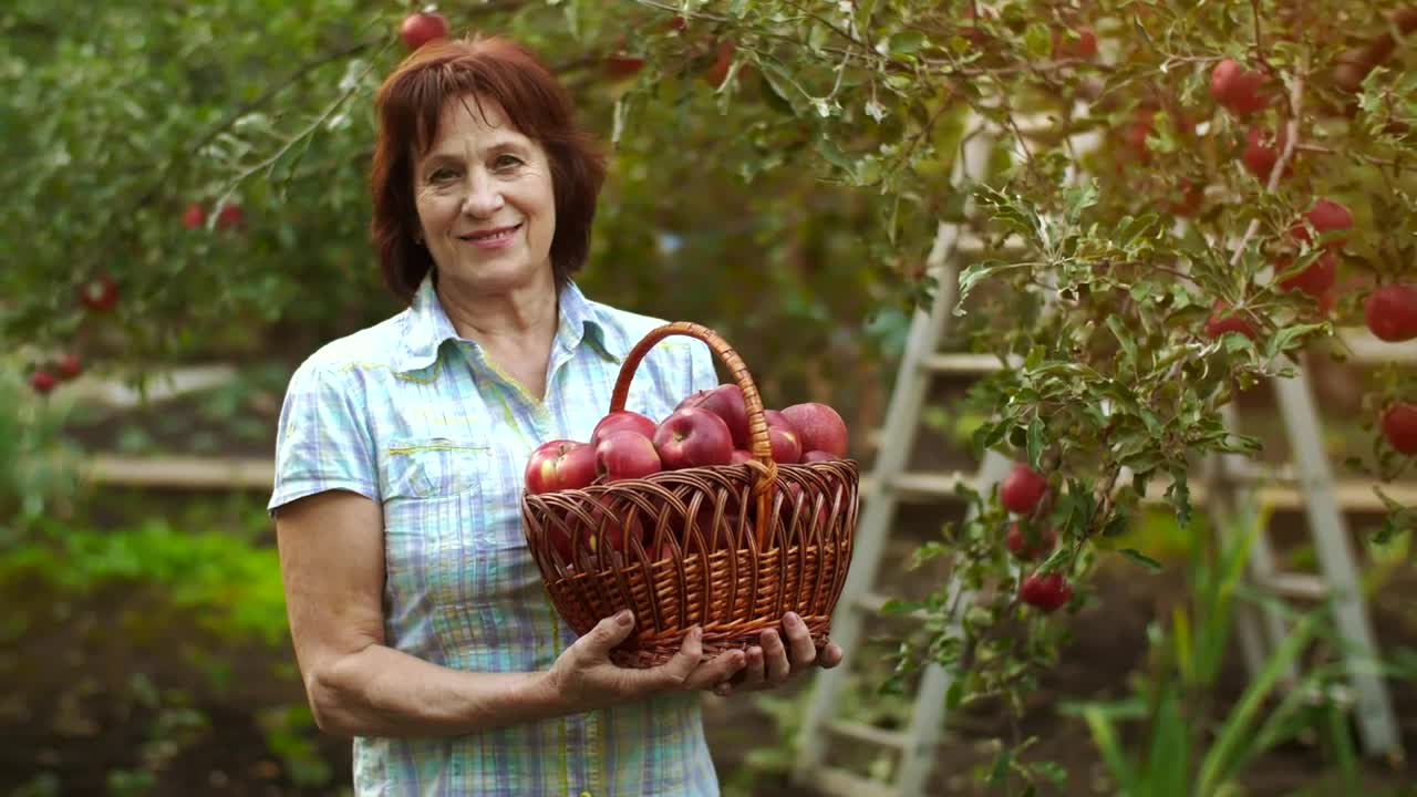 Stock Video Old Woman With A Basket Of Apples Live Wallpaper