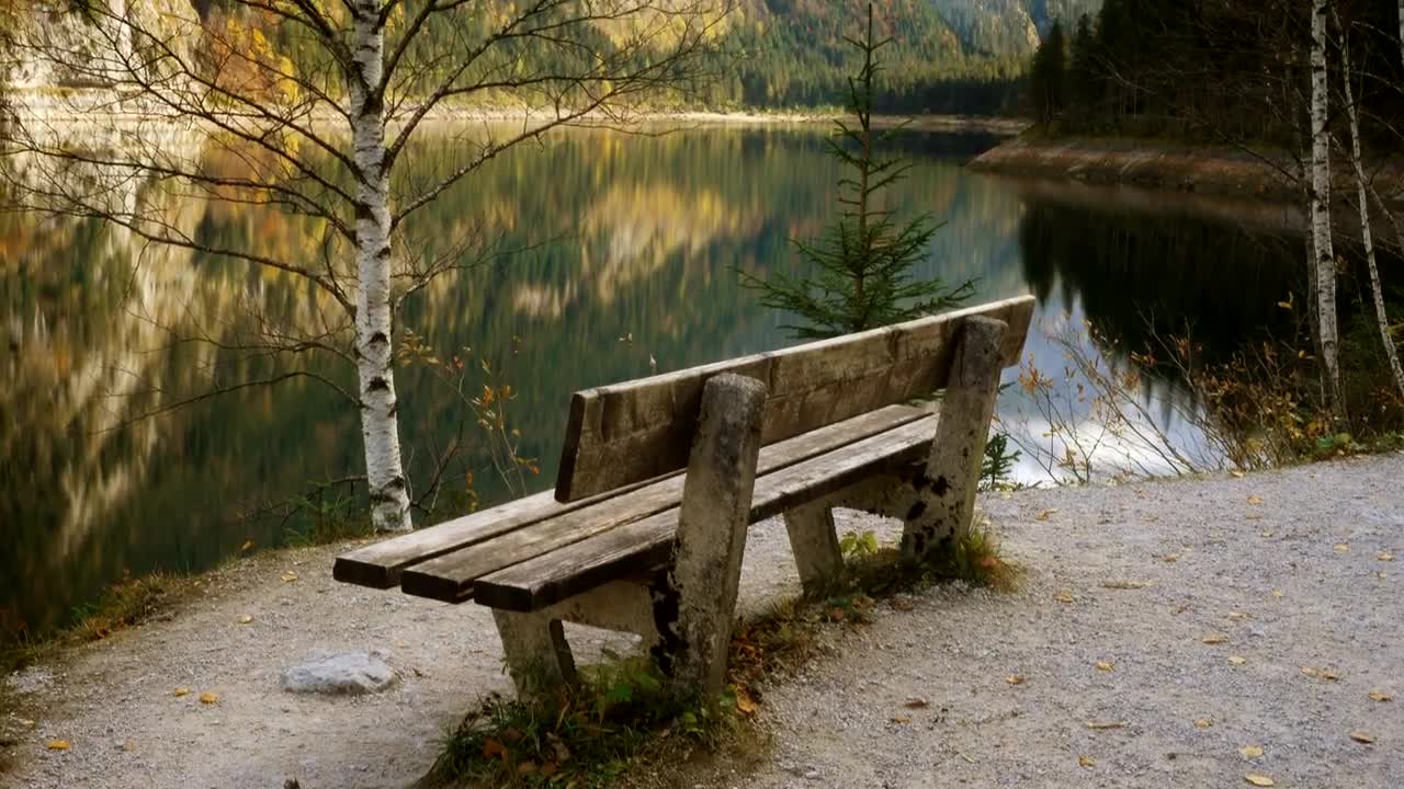 Stock Video Old Wooden Bench By The Lakeshore Live Wallpaper