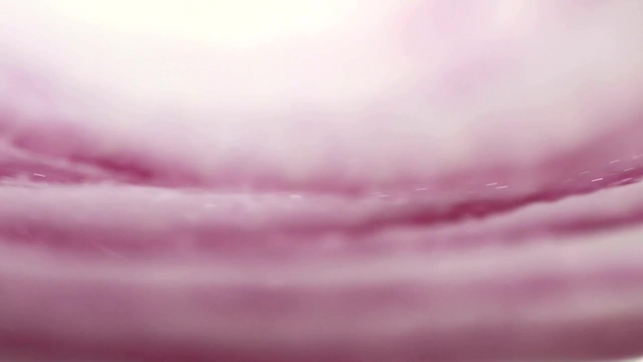 Stock Video Onion Slice Closeup Live Wallpaper