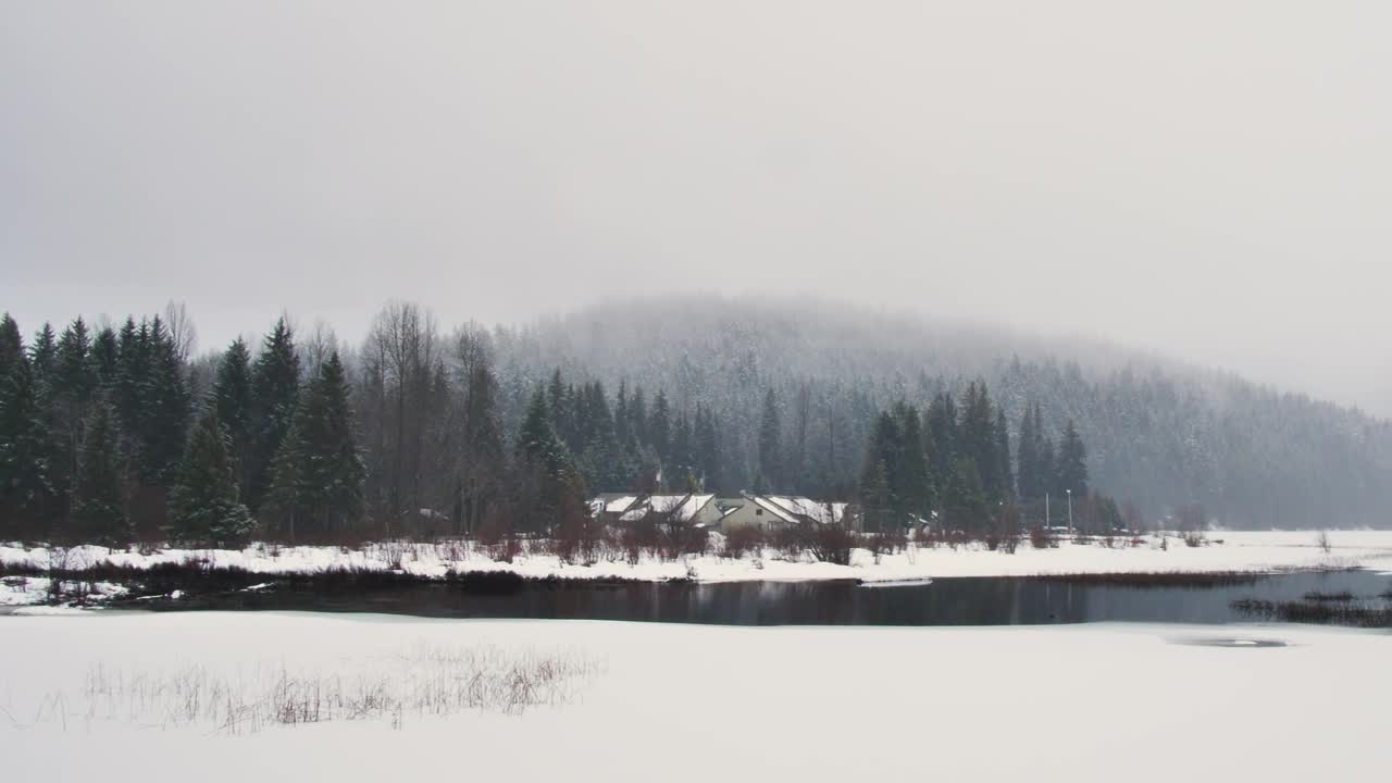 Stock Video Open Environment Of A Cold And Snowy Forest Live Wallpaper