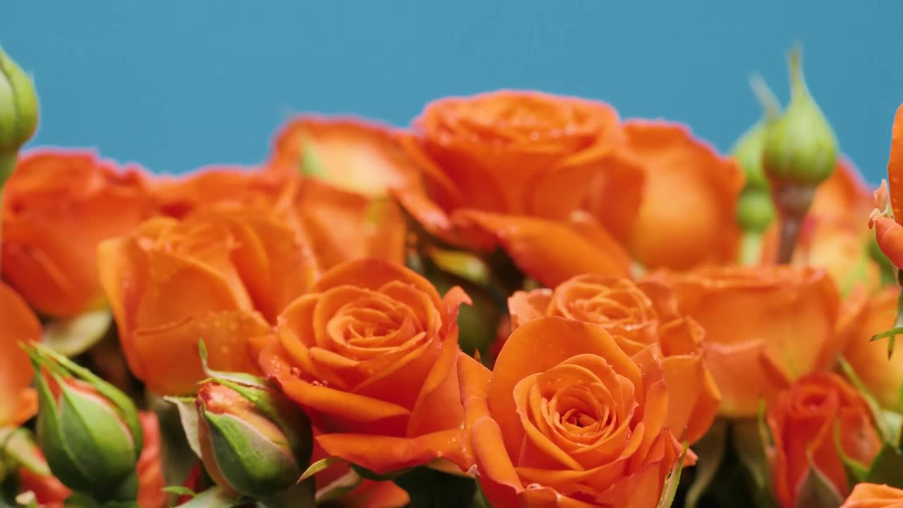 Stock Video Orange Bunch Of Flowers Live Wallpaper